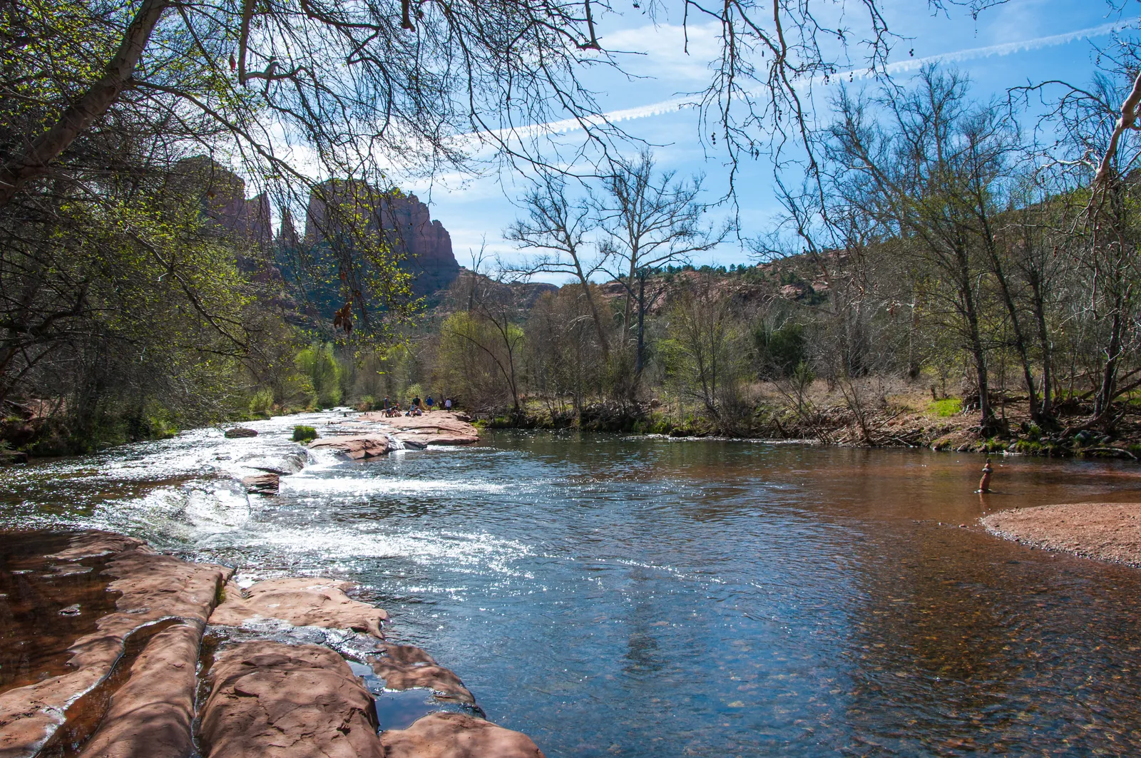Oak Creek running over red sandstone ledges, with Cathedral Rock rising above bare sycamores